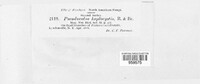 Image Associated With the Occurence
